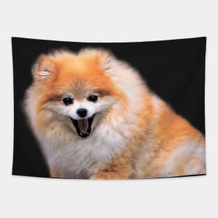 Cute Laughing Pomeranian Dog Tapestry