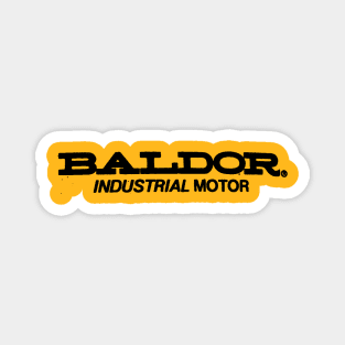 Baldor Industrial Motor Magnet