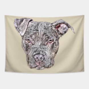 American Pit Bull Terrier Face Tapestry