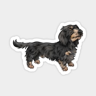 Wirehaired Dachshund | Black and Tan | Cute Dog Art Magnet