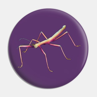 Pansexual Stick Bug Pin