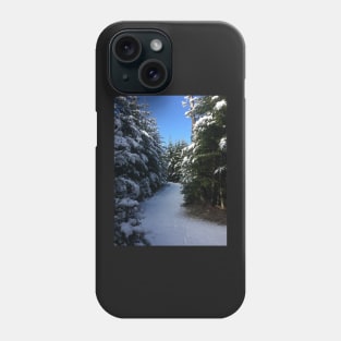 Twisting Winter Path Phone Case