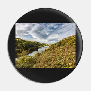 Loch Mire Pin