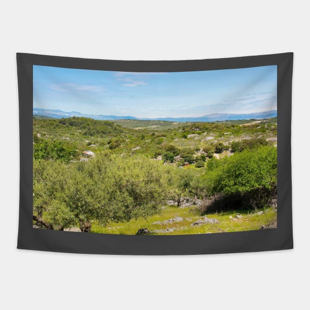 Landscape Near Nerezisca, Brac Island, Croatia Tapestry by jojobob