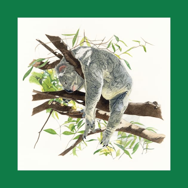 the nap of the koala by Patrizia Donaera Illustration