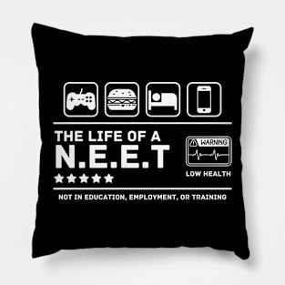 The Life of A NEET Pillow