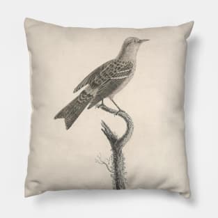 The Crowned Warbler Young Age Pillow