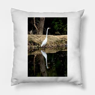 Great Egret Pillow