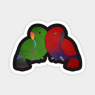 Eclectus Parrot Magnet