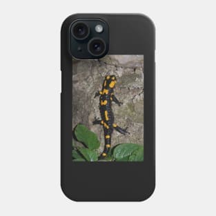 Fire Salamander on Rock Phone Case