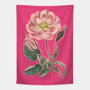 Pink Rose Flower Vintage Illustration Tapestry