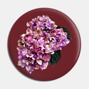 Hydrangeas - Pink and Purple Hydrangea Pin