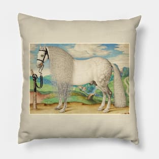 Dappled Gray Stallion Tethered in a Landscape Pillow
