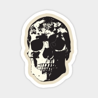 skull and world map Magnet