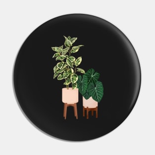 House Plants Illustration  29 Pin