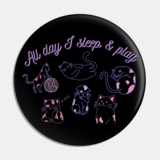 All day I sleep & play Pin