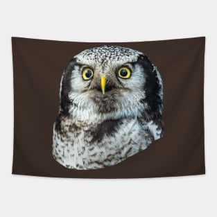 Eyes of a Northern Hawk Owl Tapestry