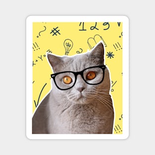 Intelectual cat Magnet