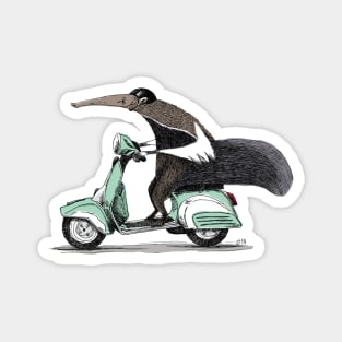 Anteater on a Vespa - Green Magnet