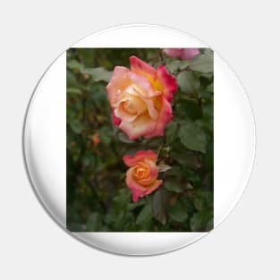 Two Roses Pin