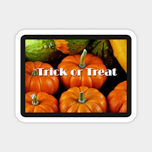 Trick or Treat Magnet