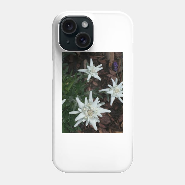 Edelweiss Phone Case by ephotocard