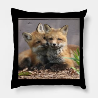 Fox Pups Getting Cozy Pillow