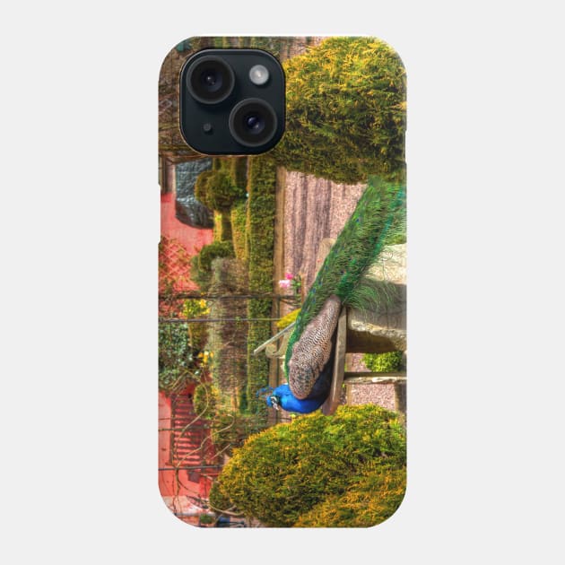 Peacock Time Phone Case by tomg