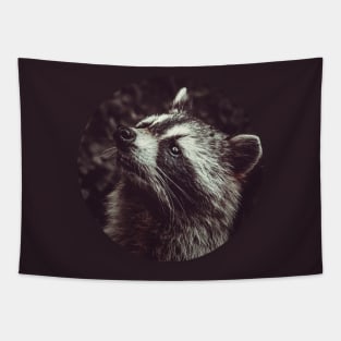 Beautiful Raccoon Photograph Tapestry