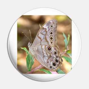 brown butterfly Pin