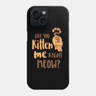 Are You Kitten Me Right Meow Funny Cats And Kittens Phone Case