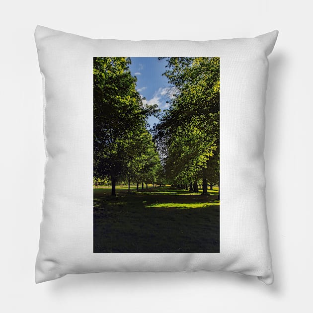 Avenue of trees Pillow by avrilharris