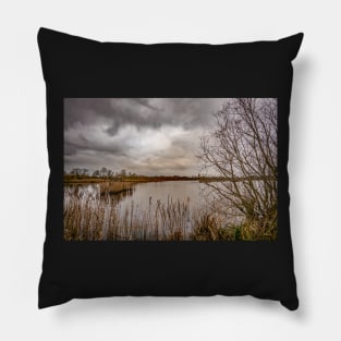 A view across Rockland Broad, Norfolk Pillow