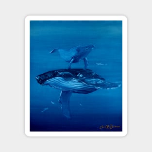 Humpback Whale and Calf Magnet