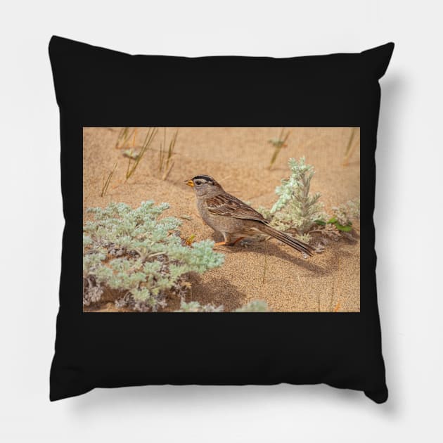 Foraging Pillow by jvnimages