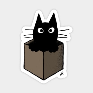 Black Cat in a Cardboard Box Magnet