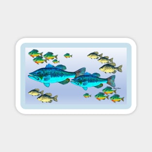 Freshwater fish Magnet