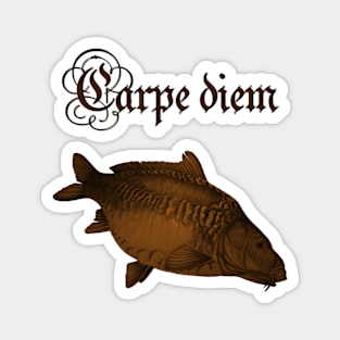 Mirror Carp Magnet