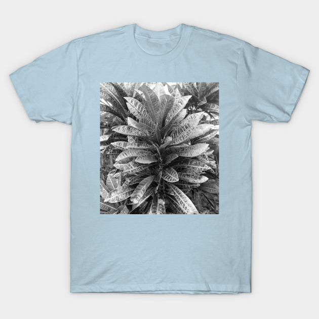 Disover Black and white Crotons - Flower - T-Shirt