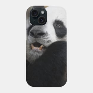 Giant Panda bear Phone Case