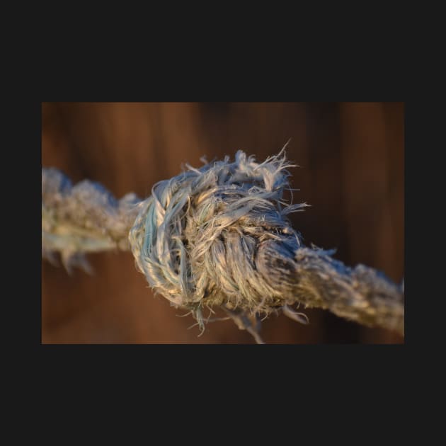 A rope with a knot by ToniaDelozier