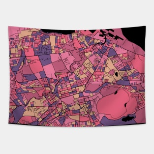 Edinburgh Map Pattern in Purple & Pink Tapestry