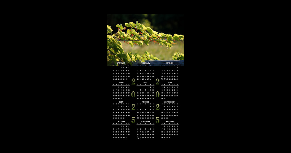 Grapevine's Embrace • 2025 Yearataglance Calendar Calendar