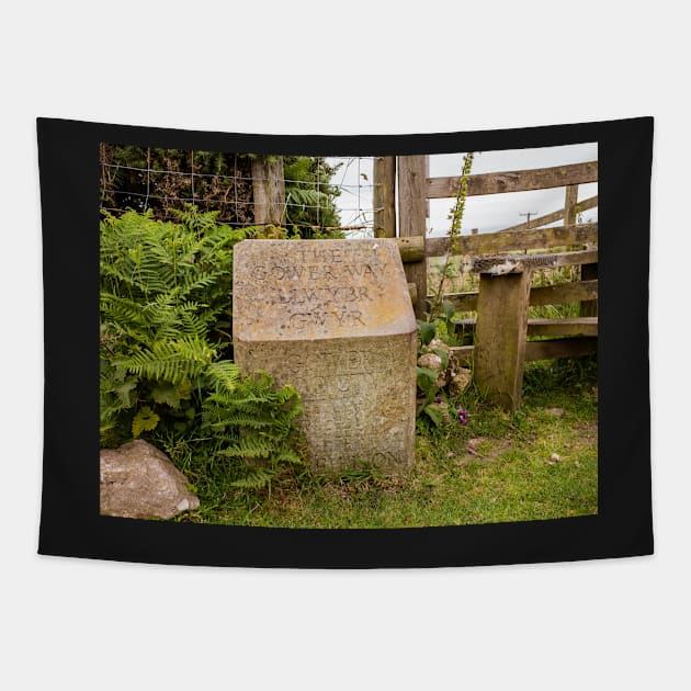 Concrete marker stone next to a wooden style near Talgarth’s Well on the Gower Way, South Wales Tapestry by yackers1