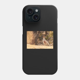 Gamble Quail Phone Case