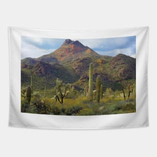 Saguaro And Teddybear Cholla Tapestry