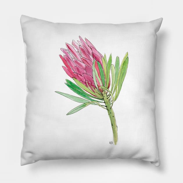 Pink Protea flower Pillow by VeraAlmeida