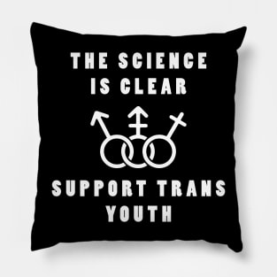 Support Trans Youth Pillow