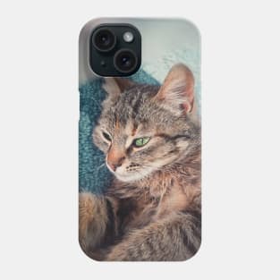 kitten laying Phone Case