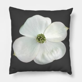 White Dogwood Flower Close-up Photo Pillow